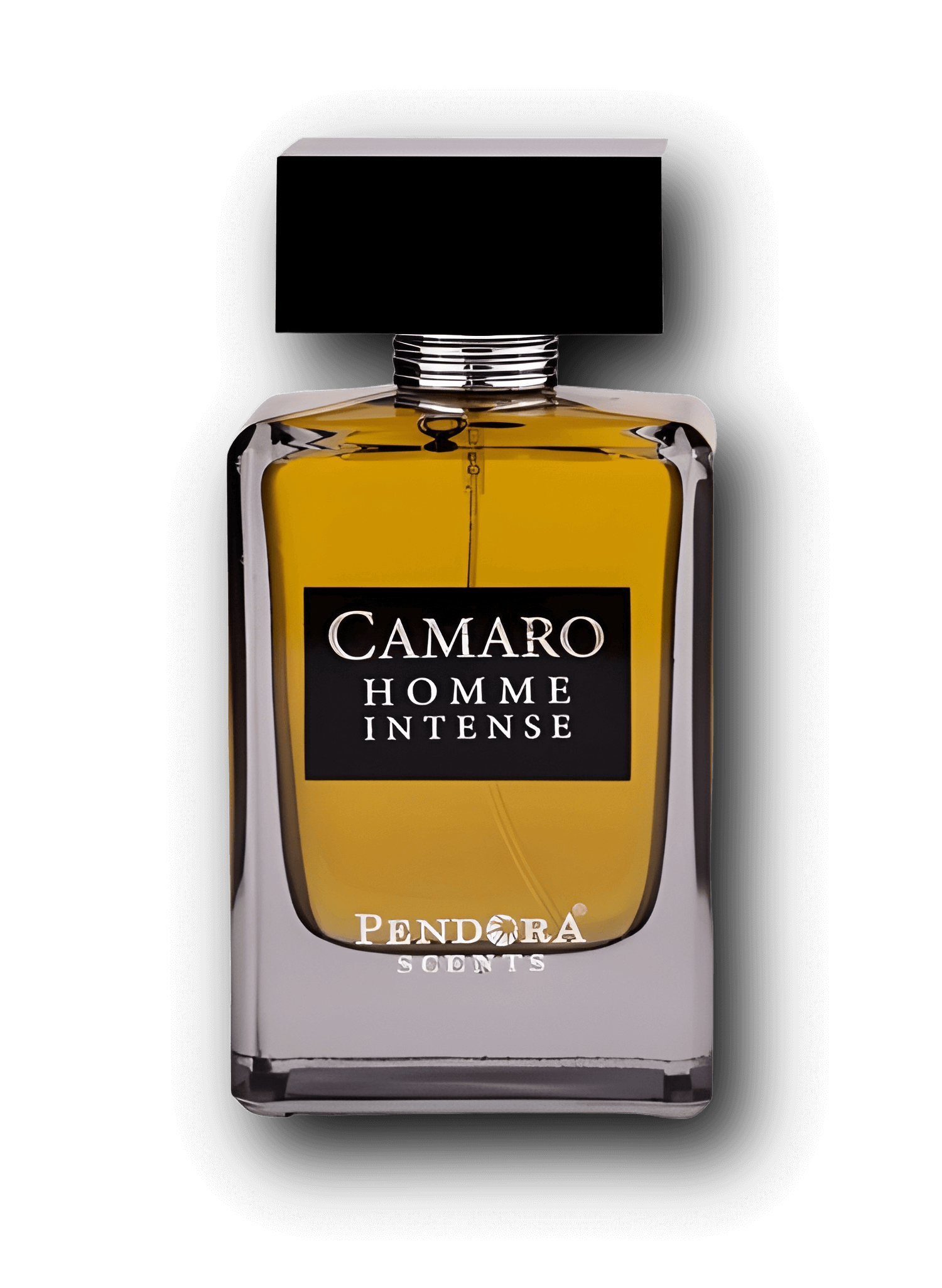 CAMARO Homme Intense EdP - 100ml