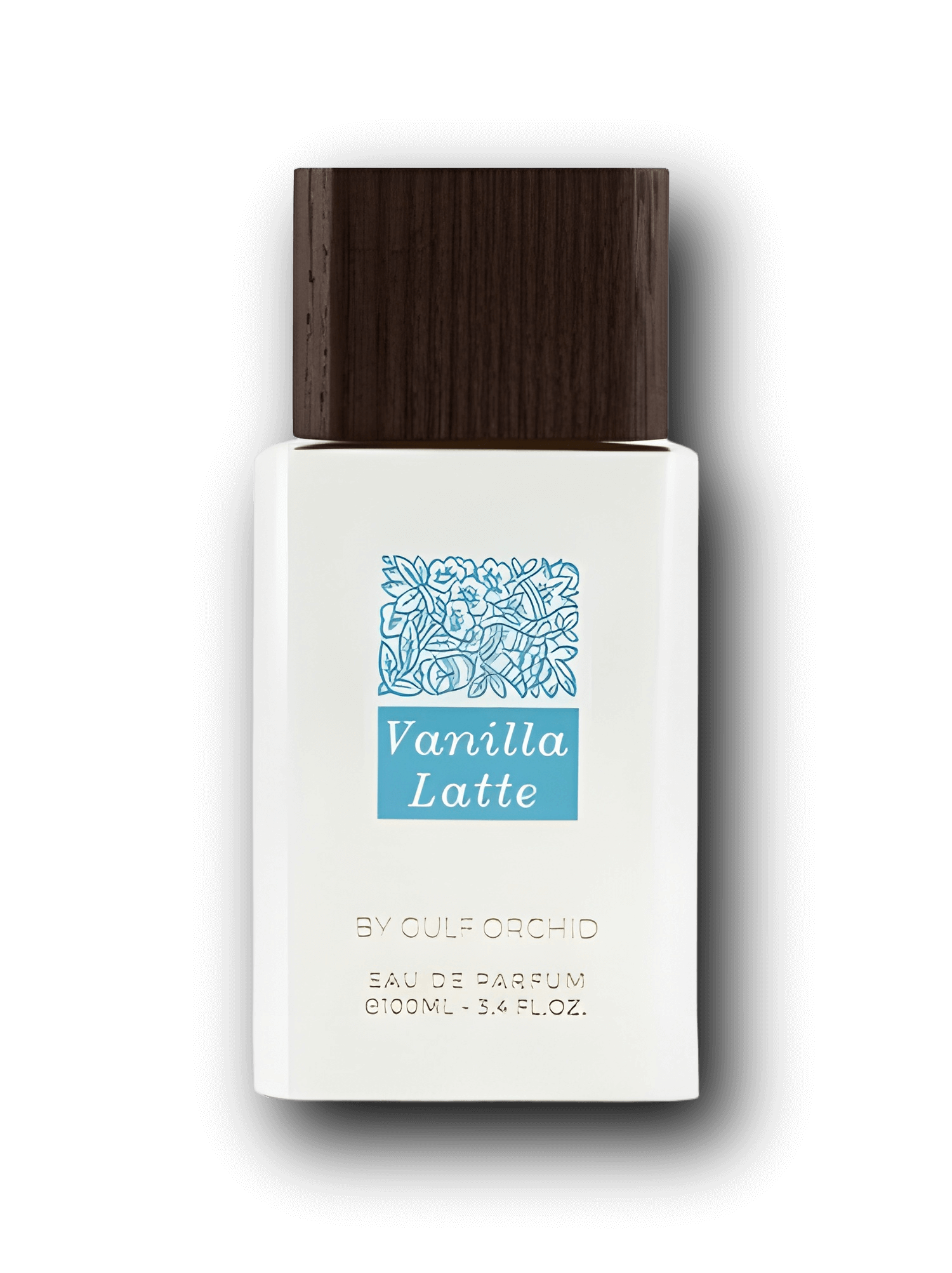 Vanilla_Latte_Gulf_Orchid