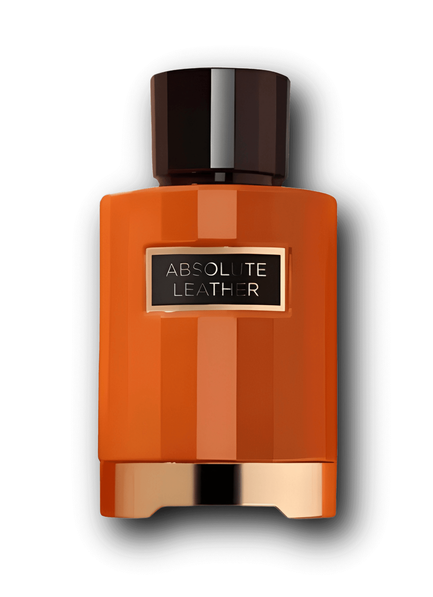 Absolute Leather från Fragrance World inspirerad av Stallion Leather – kraftfull doft med läder, jasmin och rökelse