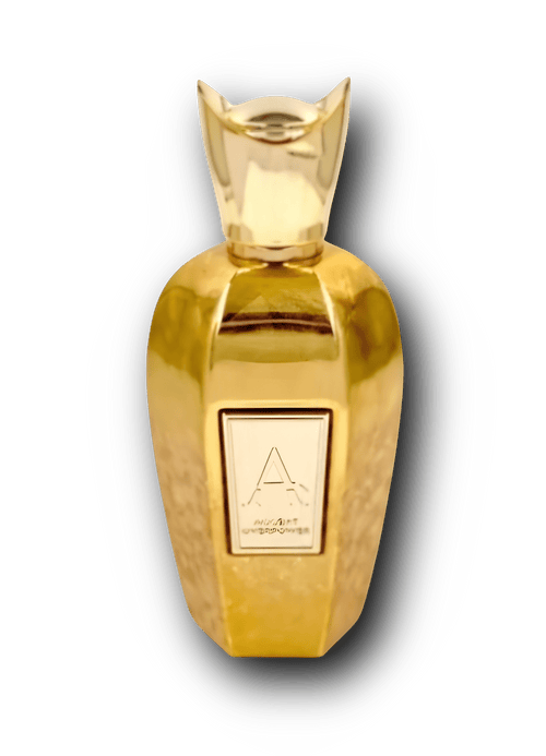 FW Accent Overpower - EdP 100ml - ParfymDupe